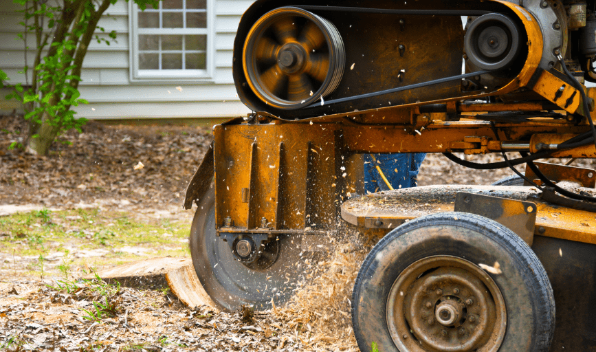 Stump Removal